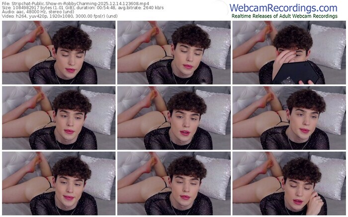 stripchat-robbycharming-12-14-2025-12-36-08