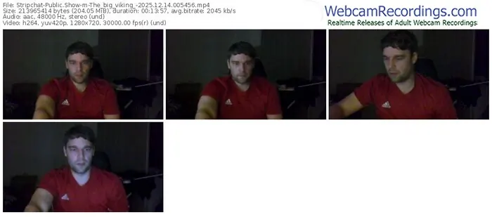 stripchat-the_big_viking_-12-14-2025-00-54-56