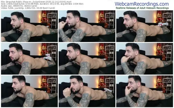 stripchat-_dylangreen-12-14-2025-10-10-41