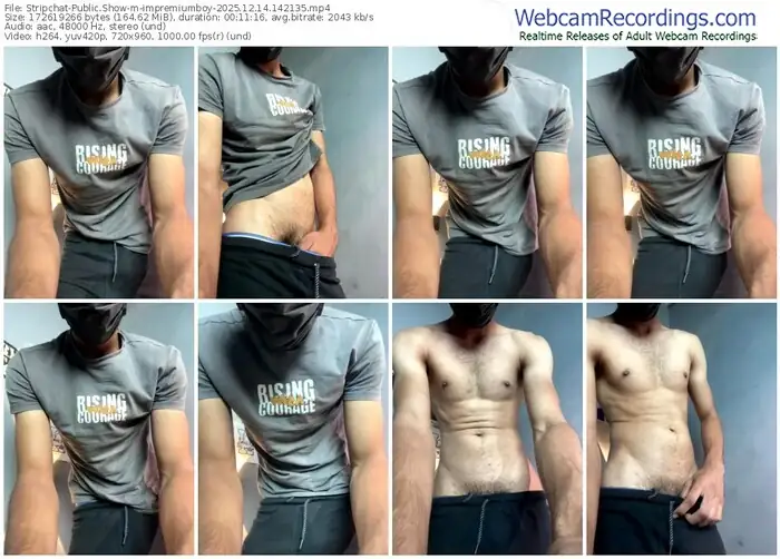 stripchat-impremiumboy-12-14-2025-14-21-35