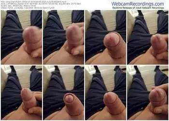 stripchat-minnetird-12-14-2025-06-58-56