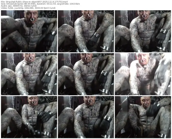 stripchat-object857-12-14-2025-17-57-53