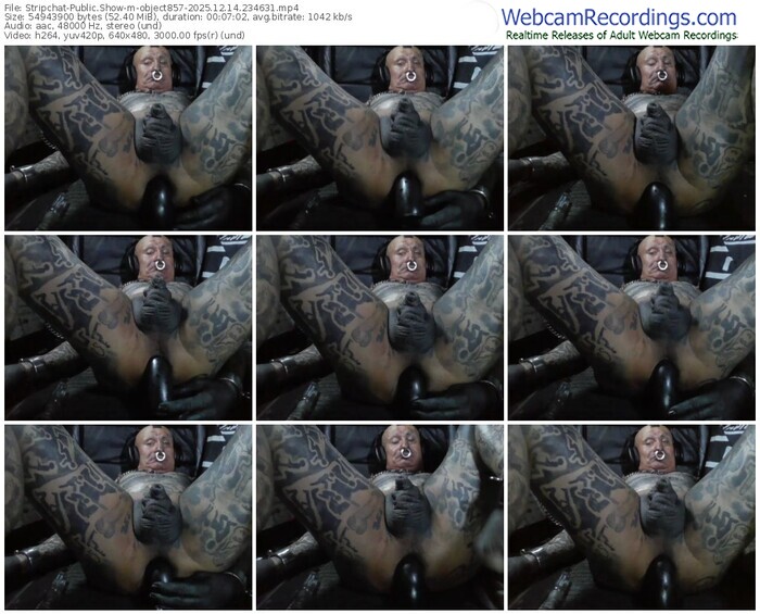 stripchat-object857-12-14-2025-23-46-31