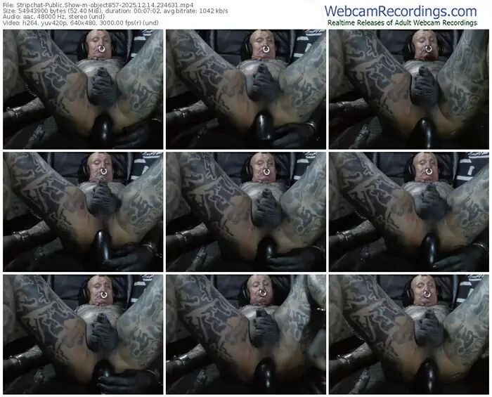 stripchat-object857-12-14-2025-23-46-31