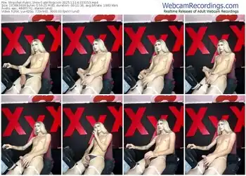 stripchat-abrilbigcock-12-14-2025-03-31-53