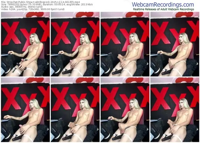 stripchat-abrilbigcock-12-14-2025-04-14-55