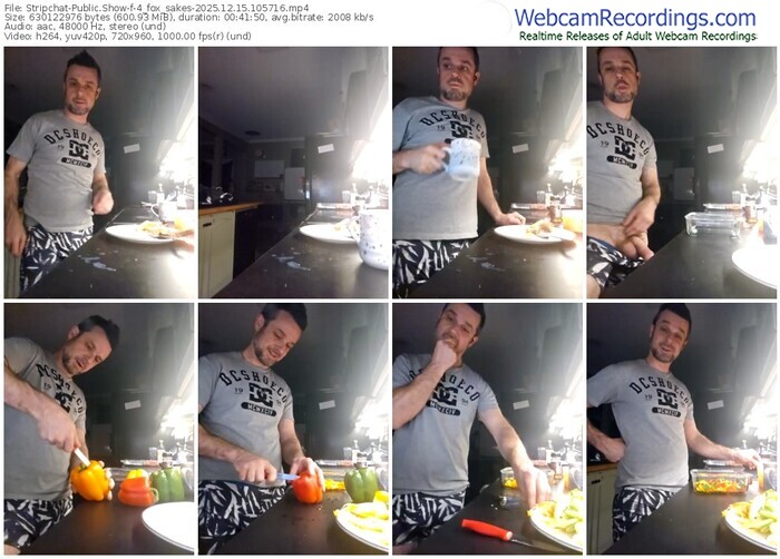 stripchat-4_fox_sakes-12-15-2025-10-57-16