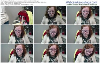 stripchat-adelewildx-12-15-2025-04-30-59