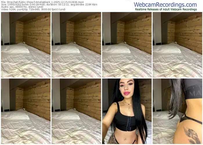 stripchat-ameliablack_1-12-15-2025-01-28-36