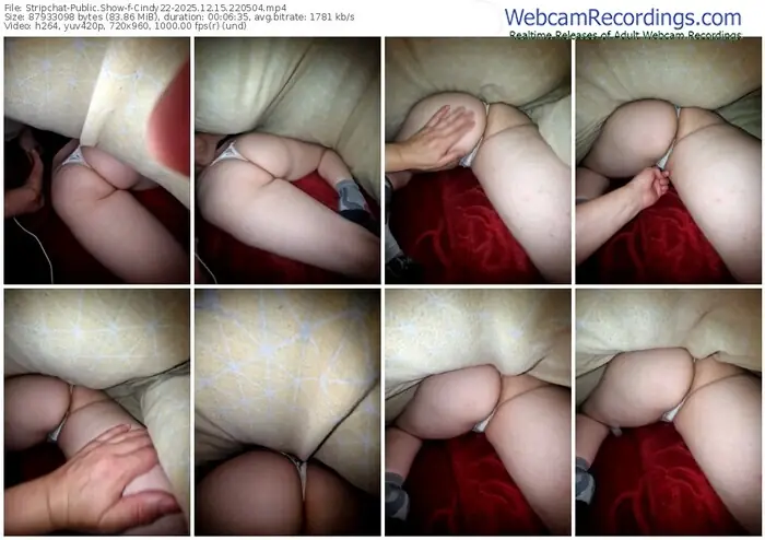 stripchat-cindy22-12-15-2025-22-05-04