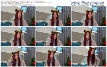 stripchat-evelinbunny-12-15-2025-05-47-55