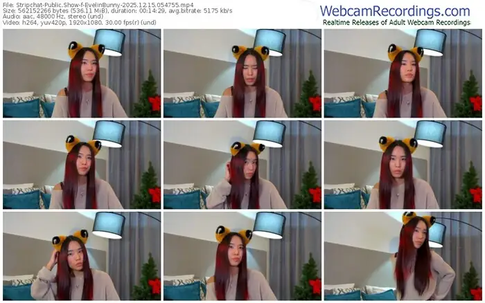 stripchat-evelinbunny-12-15-2025-05-47-55