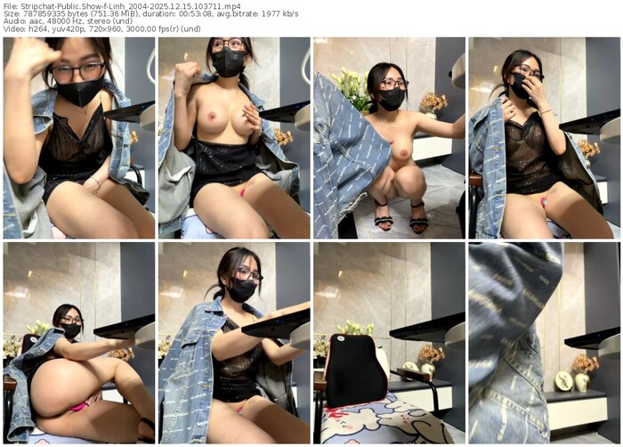 stripchat-linh_2004-12-15-2025-10-37-11