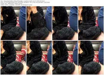 stripchat-punjabi_coupless-12-15-2025-08-01-43