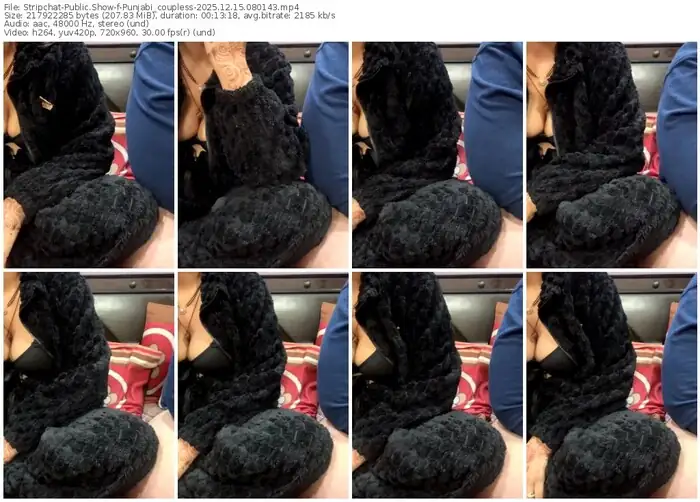 stripchat-punjabi_coupless-12-15-2025-08-01-43