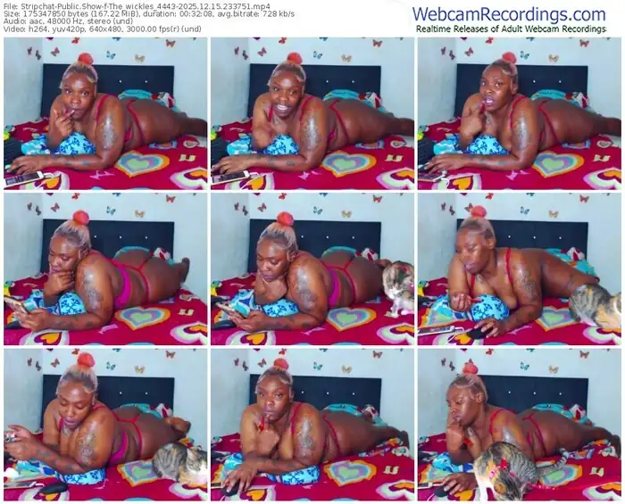 stripchat-the_wickles_4443-12-15-2025-23-37-51