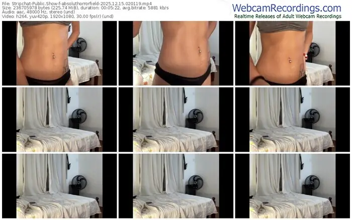stripchat-absoluthorrorfield-12-15-2025-02-01-19