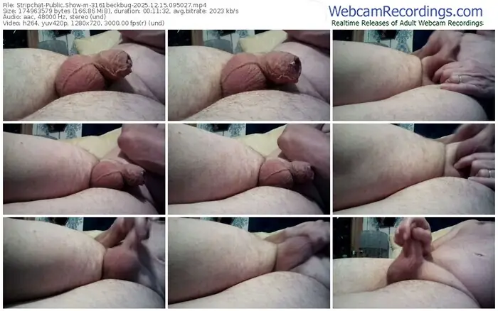 stripchat-3161beckbug-12-15-2025-09-50-27