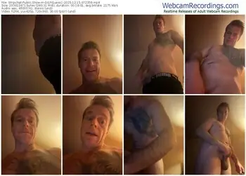 stripchat-dilfiguess1-12-15-2025-07-23-59