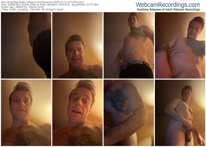 stripchat-dilfiguess1-12-15-2025-07-23-59