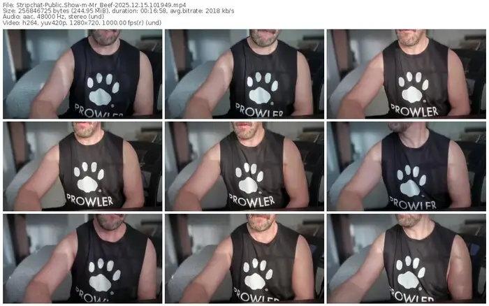 stripchat-mr_beef-12-15-2025-10-19-49