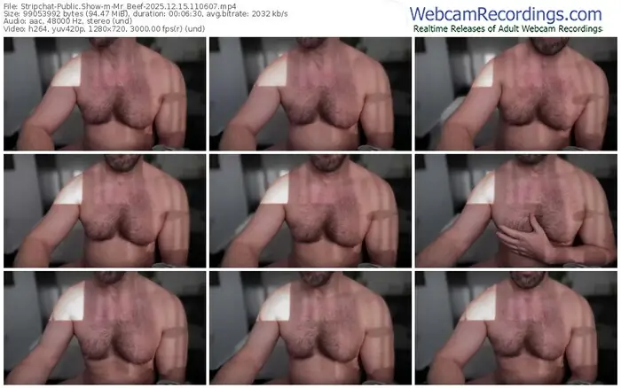 stripchat-mr_beef-12-15-2025-11-06-07