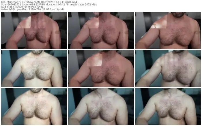 stripchat-mr_beef-12-15-2025-11-20-48