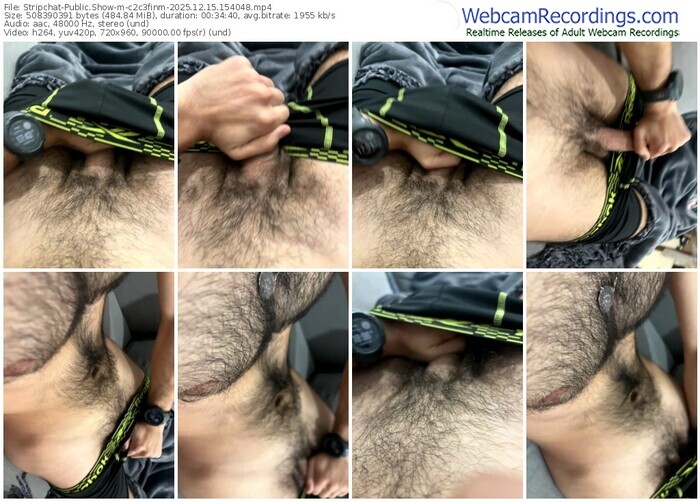 stripchat-c2c3finm-12-15-2025-15-40-48