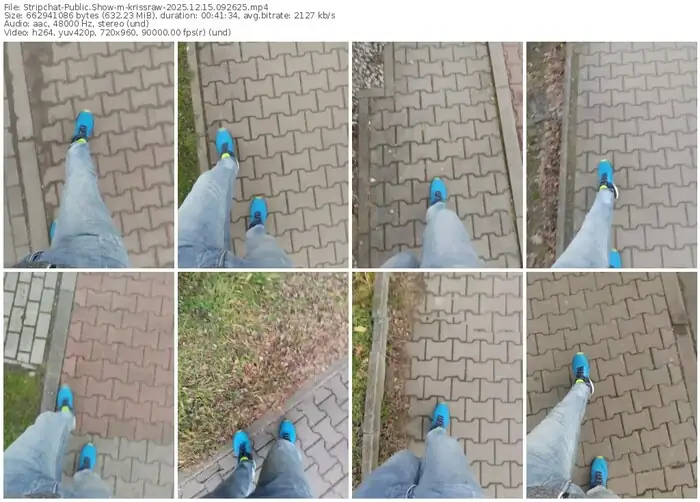 stripchat-krissraw-12-15-2025-09-26-25