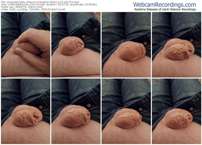 stripchat-minnetird-12-15-2025-22-17-03