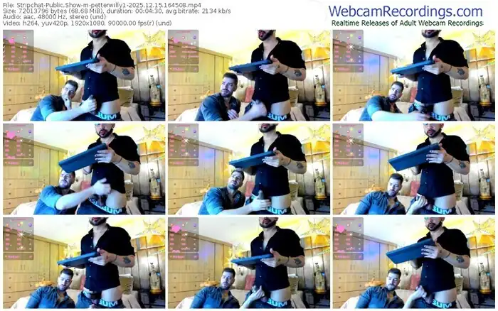 stripchat-petterwilly1-12-15-2025-16-45-08