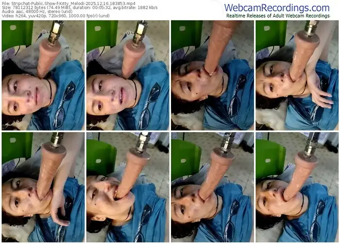 stripchat-kitty_melodi-12-16-2025-18-38-53