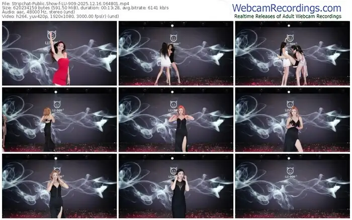 stripchat-lu-909-12-16-2025-06-48-01