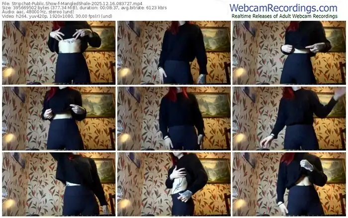 stripchat-mangledshale-12-16-2025-08-37-27