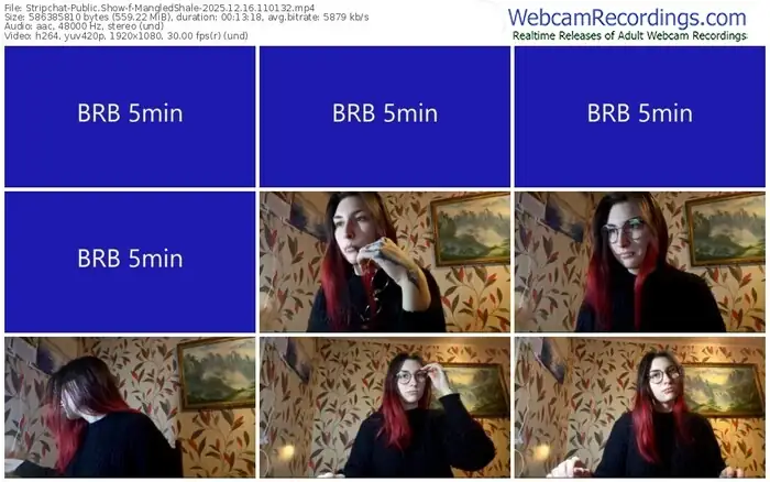 stripchat-mangledshale-12-16-2025-11-01-32
