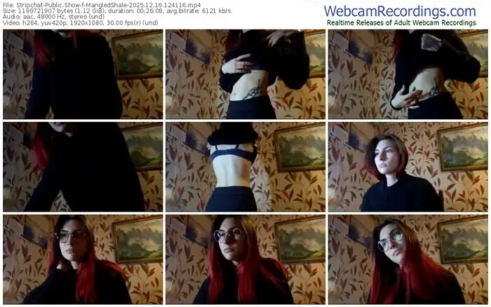 stripchat-mangledshale-12-16-2025-12-41-16