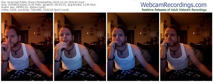 stripchat-pinellasplay-12-16-2025-23-41-40