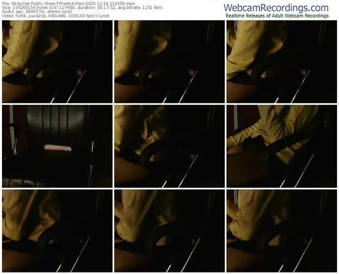 stripchat-preetykitten-12-16-2025-21-25-56