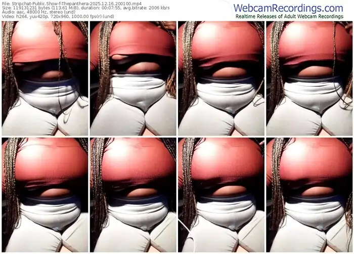 stripchat-thepanthera-12-16-2025-20-01-00