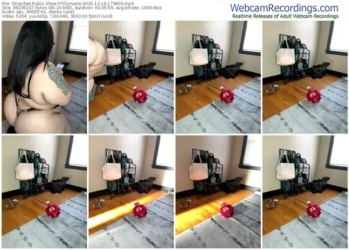 stripchat-tillymarie-12-16-2025-17-58-09