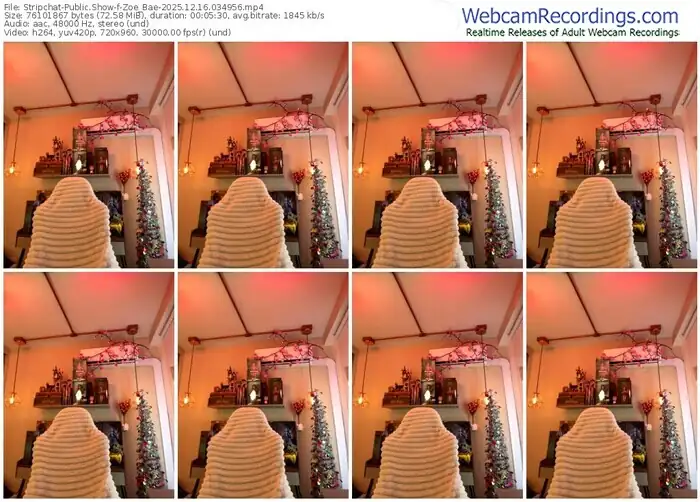 stripchat-zoe_bae-12-16-2025-03-49-56