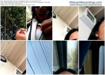 stripchat-_andrea30-12-16-2025-11-58-05