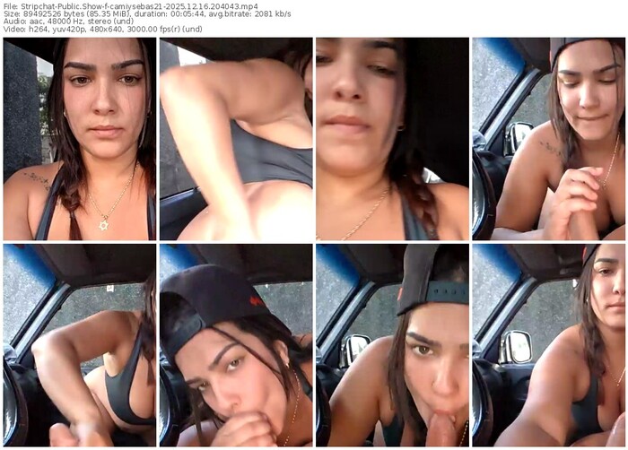 stripchat-camiysebas21-12-16-2025-20-40-43