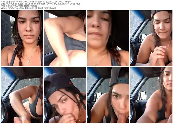 stripchat-camiysebas21-12-16-2025-20-40-43