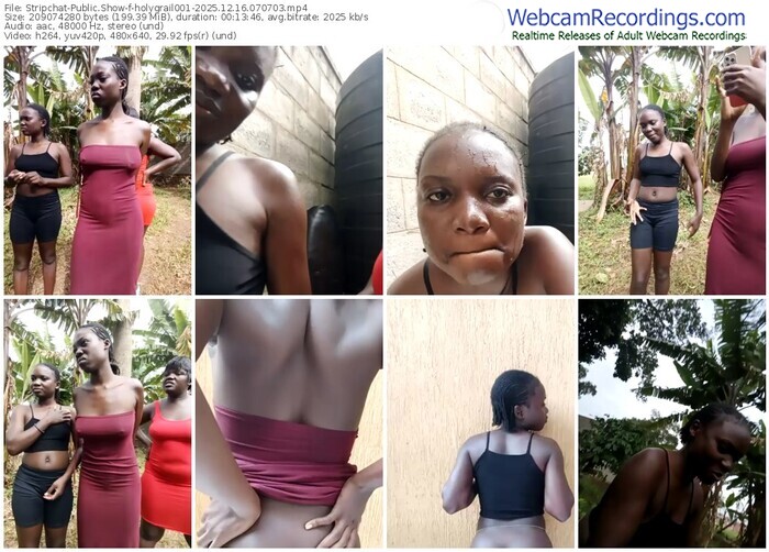 stripchat-holygrail001-12-16-2025-07-07-03