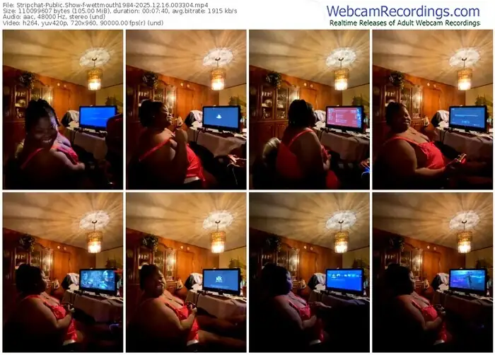 stripchat-wettmouth1984-12-16-2025-00-33-04