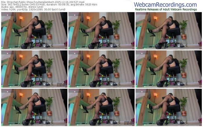 stripchat-zultanalambert-12-16-2025-20-15-27