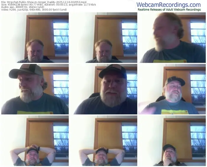 stripchat-ginger_daddy-12-16-2025-00-45-53