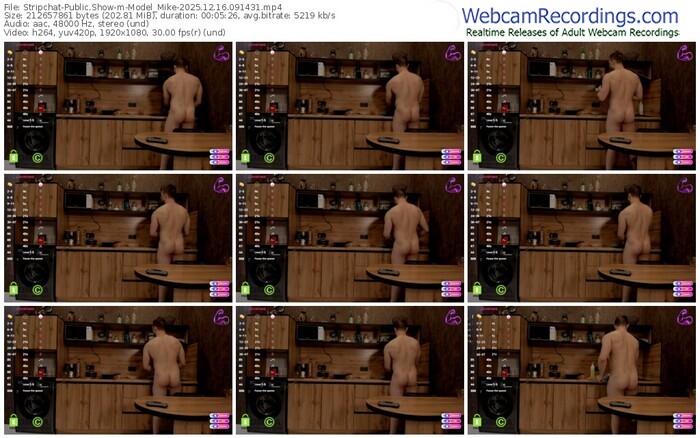 stripchat-model_mike-12-16-2025-09-14-31