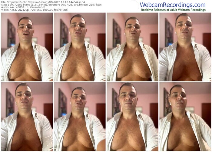 stripchat-secretlydd-12-16-2025-14-46-44